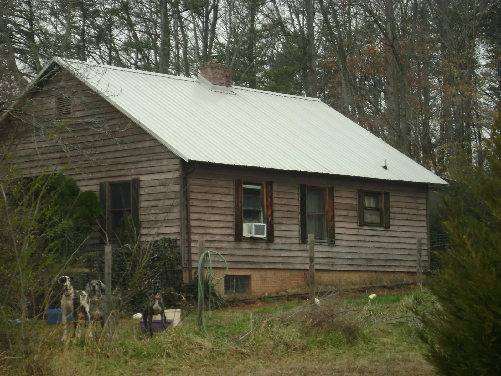 White metal roof on an old wood sided farmhouse, from a Asphalt Shingle Roof Repair job in Cressey